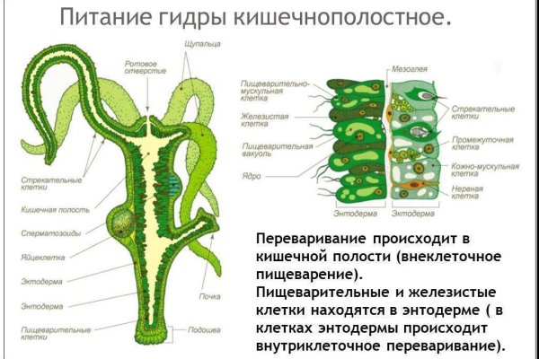 Кракен сайт магазин kraken clear com