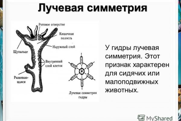 Кракен не заходит